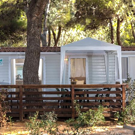 Giannella Camping 奥尔贝泰洛 外观 照片