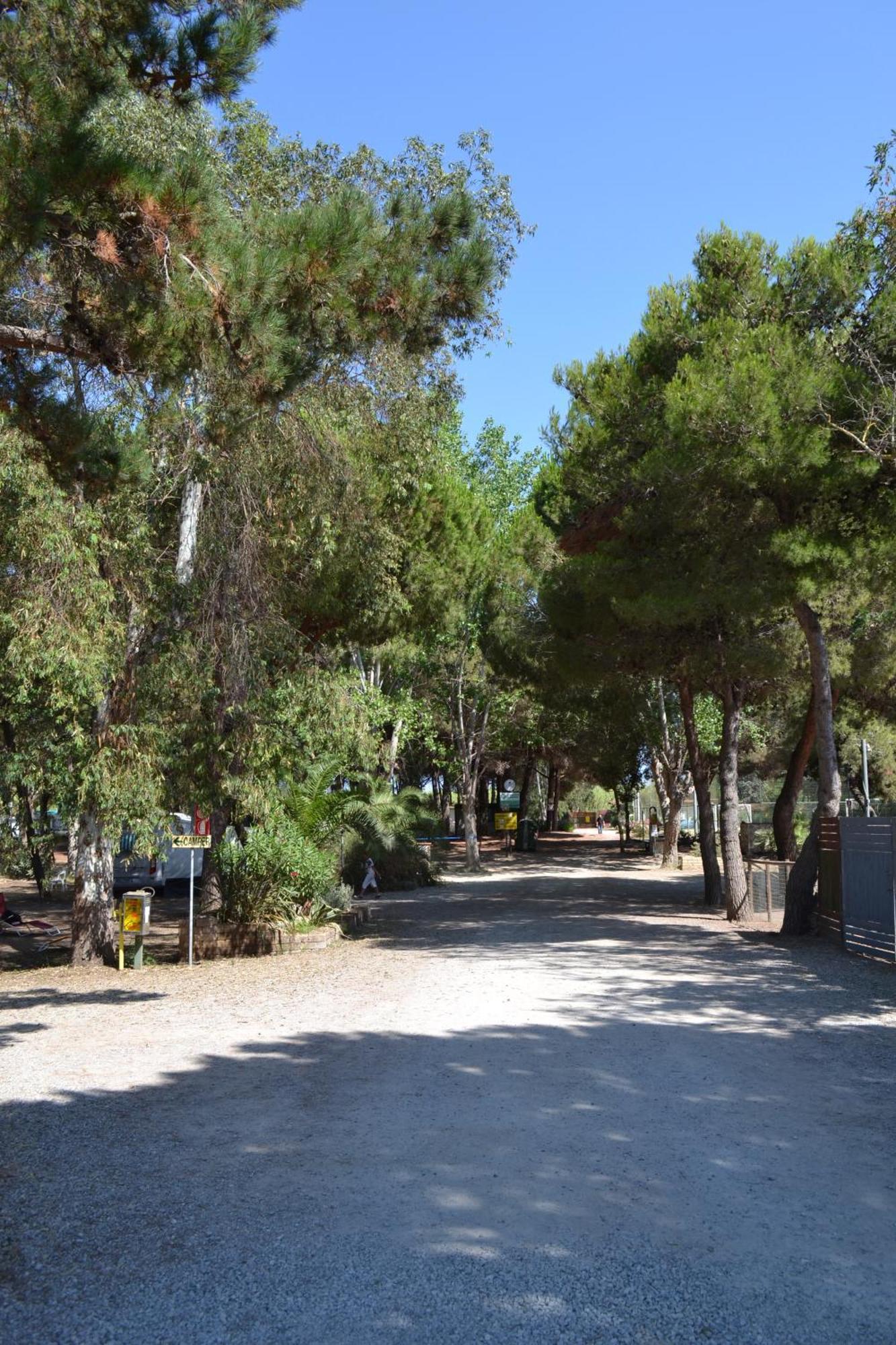 Giannella Camping 奥尔贝泰洛 外观 照片