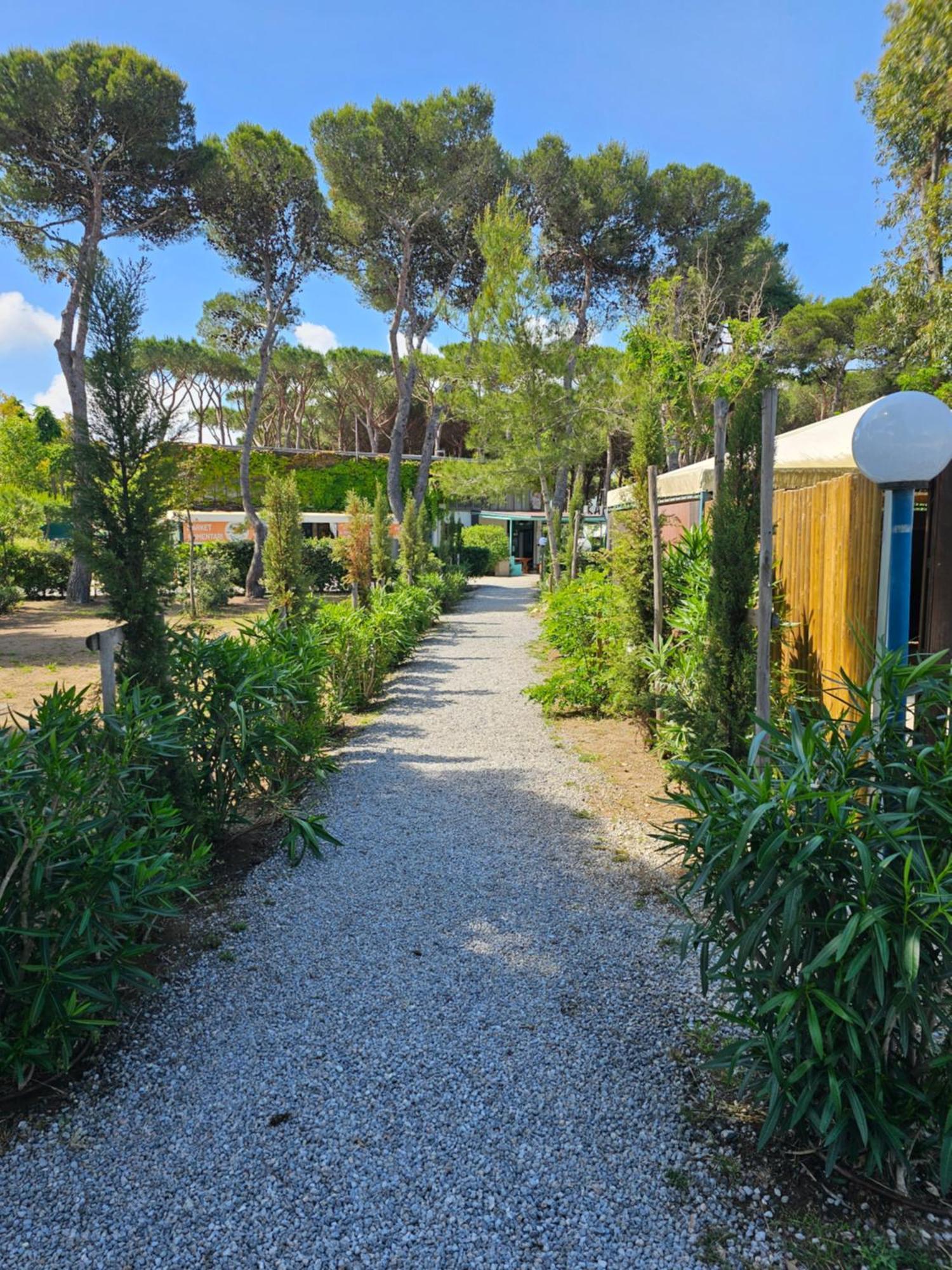 Giannella Camping 奥尔贝泰洛 外观 照片