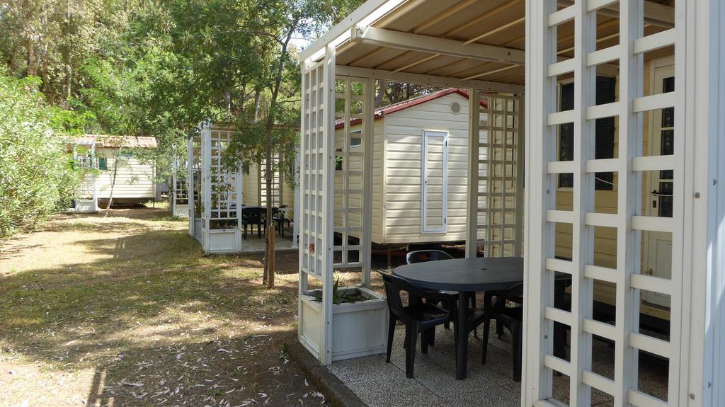Giannella Camping 奥尔贝泰洛 外观 照片