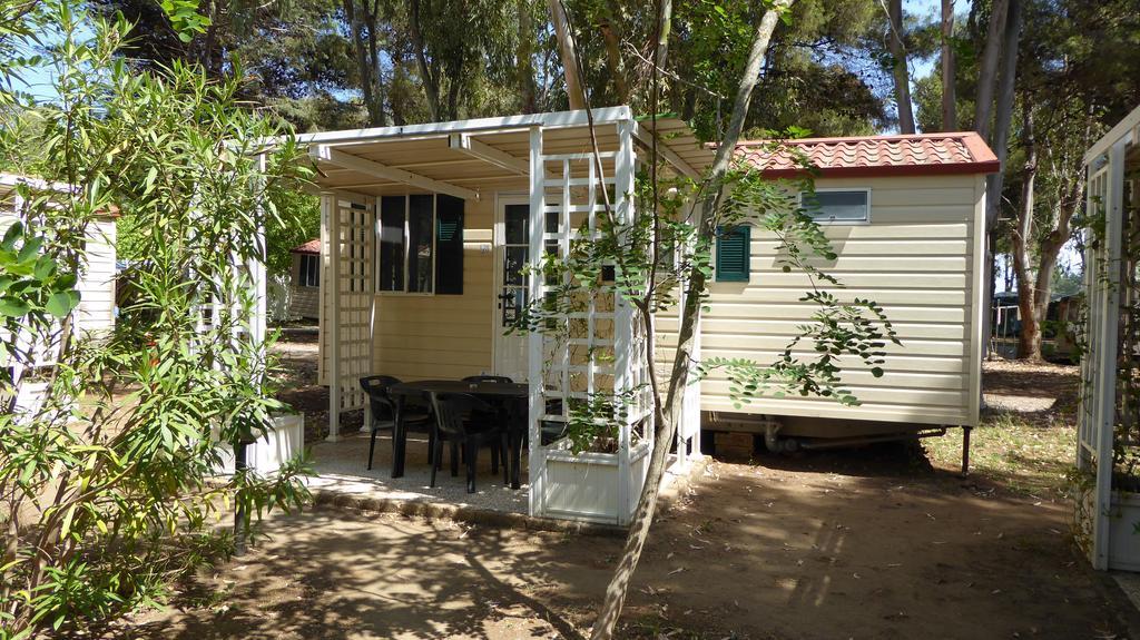 Giannella Camping 奥尔贝泰洛 外观 照片